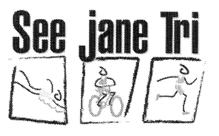 SEE JANE TRI logo