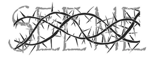 SEE ME logo