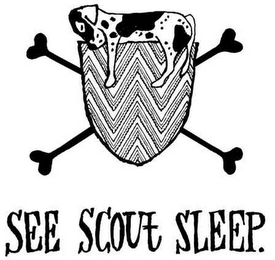SEE SCOUT SLEEP. logo