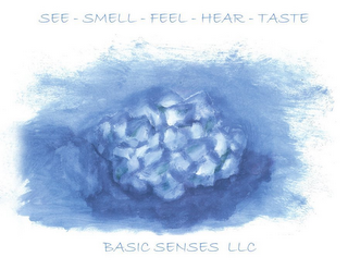 SEE - SMELL - FEEL - HEAR - TASTE BASIC SENSES LLC logo