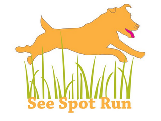 SEE SPOT RUN logo