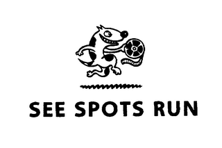 SEE SPOTS RUN logo