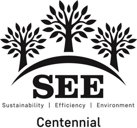 SEE SUSTAINABILITY | EFFICIENCY | ENVIRONMENT CENTENNIAL logo