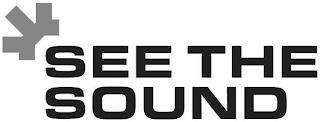 SEE THE SOUND logo