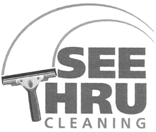 SEE THRU CLEANING logo
