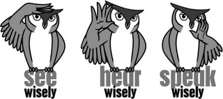 SEE WISELY HEAR WISELY SPEAK WISELY logo