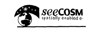 SEECOSM SPATIALLY ENABLED E- logo