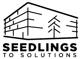 SEEDLINGS TO SOLUTIONS logo