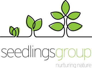 SEEDLINGSGROUP NUTURING NATURE logo