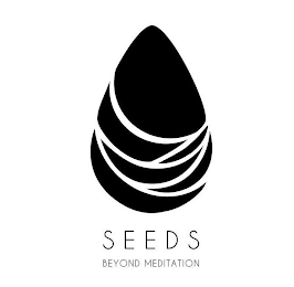 SEEDS BEYOND MEDITATION logo