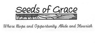 SEEDS OF GRACE WHERE HOPE AND OPPORTUNITY ABIDE AND FLOURISH logo