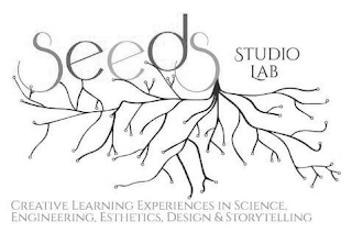 SEEDS STUDIO LAB CREATIVE LEARNING EXPERIENCES IN SCIENCE, ENGINEERING, ESTHETICS, DESIGN & STORYTELLING logo