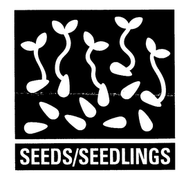 SEEDS/SEEDLINGS logo