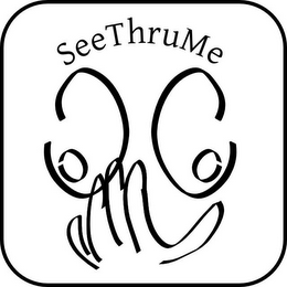 SEETHRUME logo