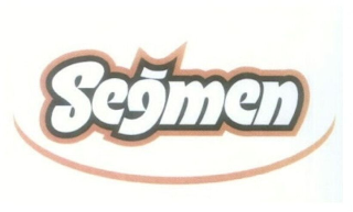 SEGMEN logo