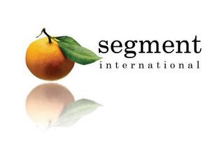 SEGMENT INTERNATIONAL logo