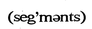 (SEG'MENTS) logo