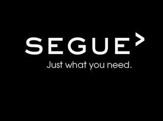 SEGUE> JUST WHAT YOU NEED. logo