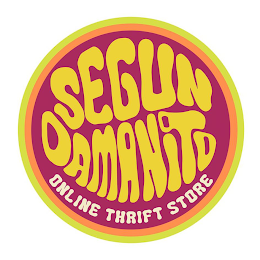SEGUN DAMANITO ONLINE THRIFT STORE logo