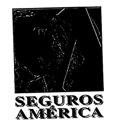 SEGUROS AMERICA logo