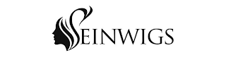 SEINWIGS logo