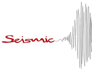 SEISMIC logo