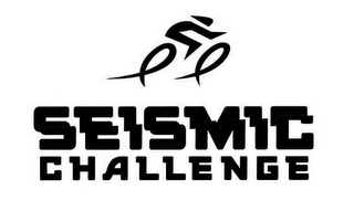 SEISMIC CHALLENGE logo