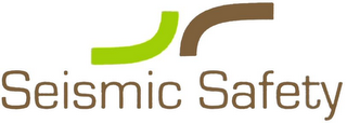 SEISMIC SAFETY logo