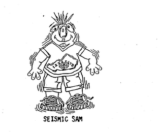 SEISMIC SAM 12345678 logo