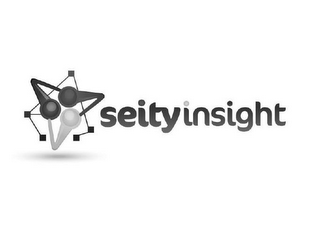 SEITYINSIGHT logo