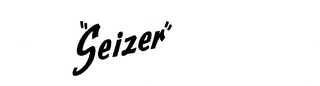 "SEIZER" logo