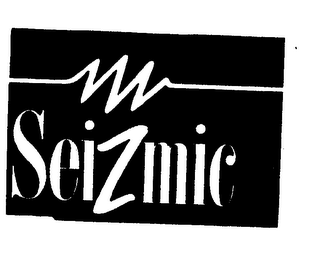 SEIZMIC logo