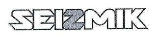 SEIZMIK logo