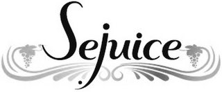 SEJUICE logo