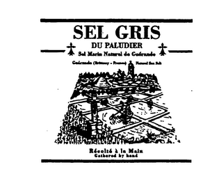 SEL GRIS DU PALUDIER SEL MATIN NATUREL DEL GUERANDE GUERANDE (BRITTANY - FRANCE) NATURAL SEA SALT RECOLTE A LA MAIN GATHERED BY HAND logo