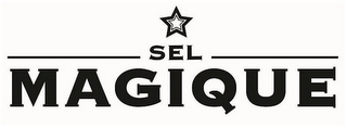 SEL MAGIQUE logo