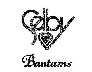 SELBY BANTAMS logo