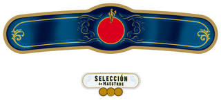 SELECCIÓN DE MAESTROS logo