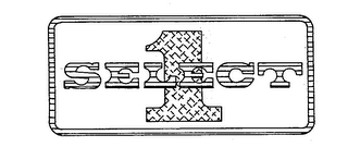 SELECT 1 logo