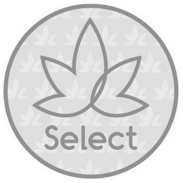 SELECT logo