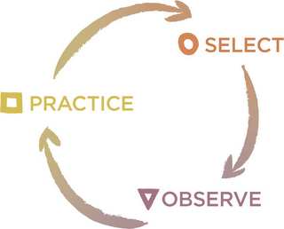 SELECT OBSERVE PRACTICE logo