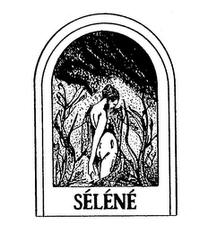 SELENE logo