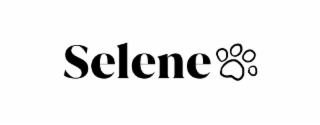 SELENE logo