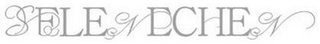 SELENECHEN logo