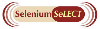 SELENIUM SELECT logo