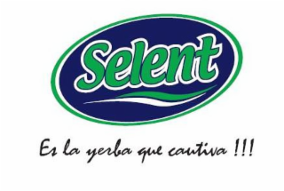 SELENT ES LA YERBA QUE CAUTIVA!!! logo