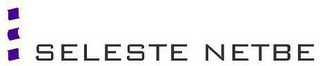 SELESTE NETBE logo