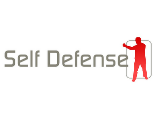 SELF DEFENSE logo