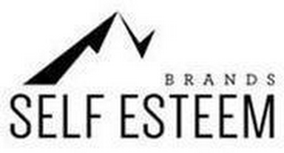 SELF ESTEEM BRANDS logo