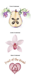 SELF LOVE CONFIDENCE RESPECT ESTEEM FRUIT OF THE WOMB logo